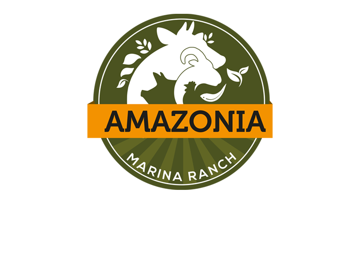 amazonia logo tranxsparent@20x copy